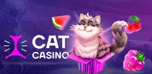 cool cat casino no deposit bonus